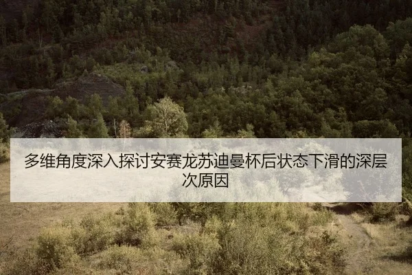 duo-wei-jiao-du-shen-ru-tan-tao-an-sai-long-su-di-man-bei-hou-zhuang-tai-xia-hua-de-shen-ceng-ci-yuan-yin-2-105.jpg