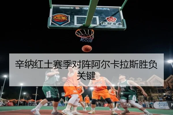 辛纳红土赛季对阵阿尔卡拉斯胜负关键