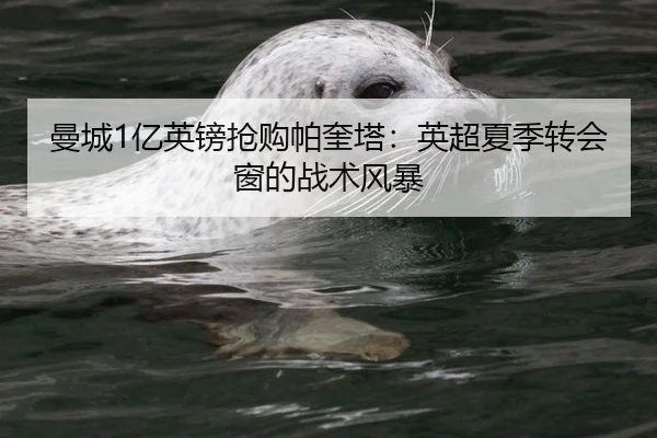 曼城1亿英镑抢购帕奎塔：英超夏季转会窗的战术风暴